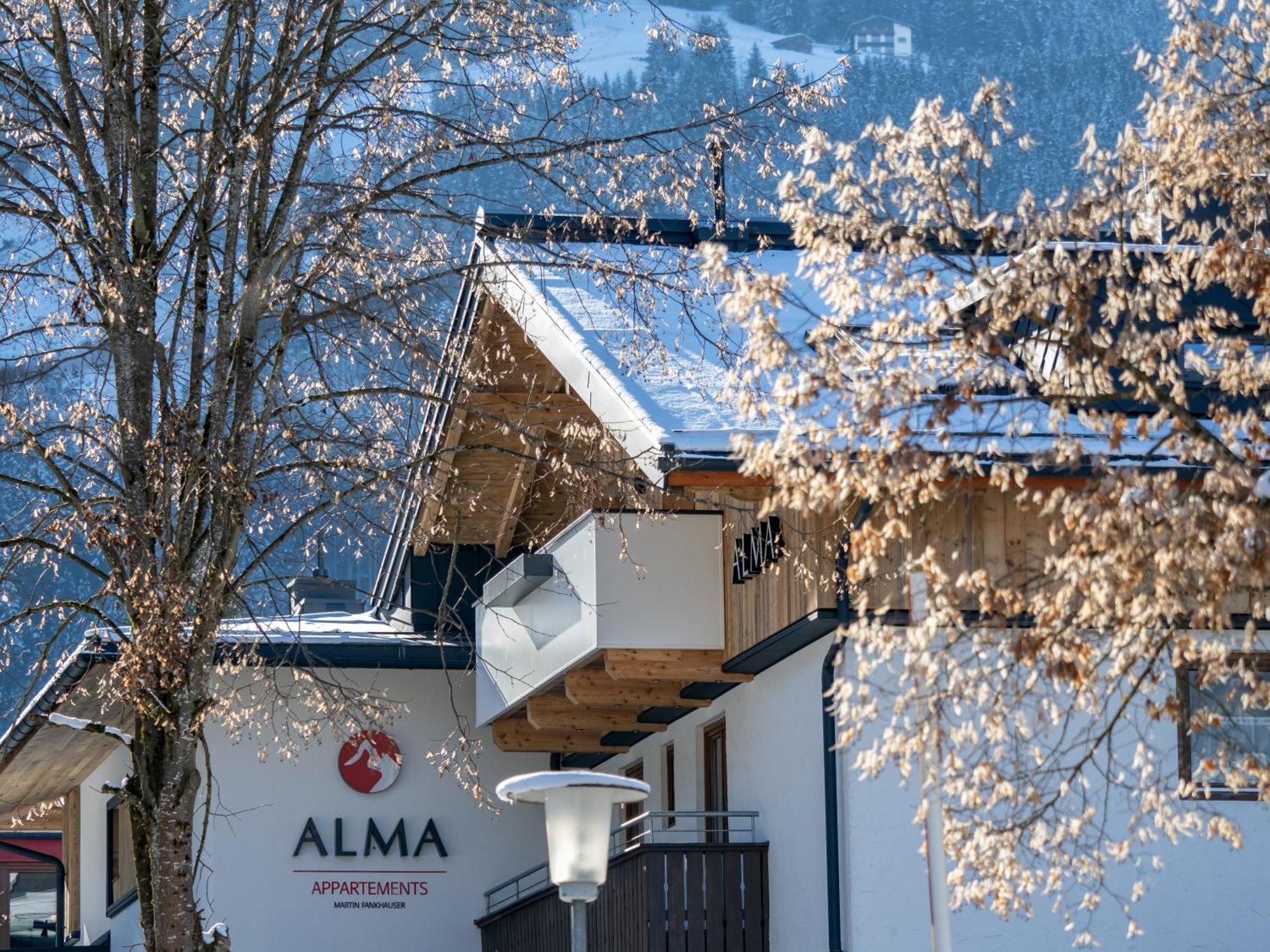 Appartements Alma Mayrhofen Ngoại thất bức ảnh